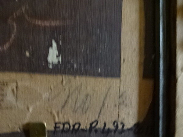 FDA-P.493-2013-E image FDA-P.493-2013-E