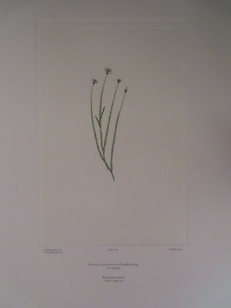 image FDA-E.2916_8_4-2016