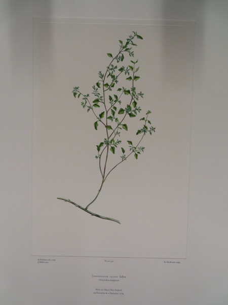 FDA-E.2916_25_18-2016-A image FDA-E.2916_25_18-2016-A