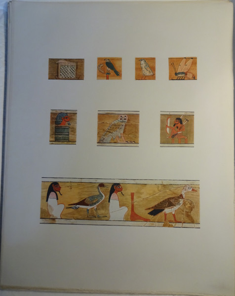 image FDA-E.3055_60-2018