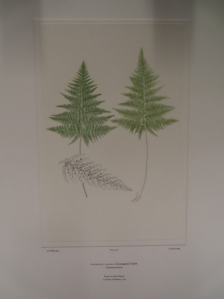 FDA-E.2916_27_19-2016 image FDA-E.2916_27_19-2016