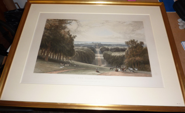 FDA-E.259_9-2010 image FDA-E.259_9-2010