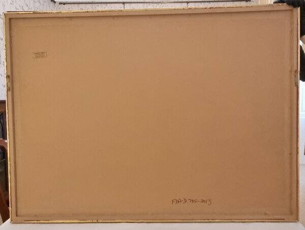 FDA-D.785-2013-A image FDA-D.785-2013-A