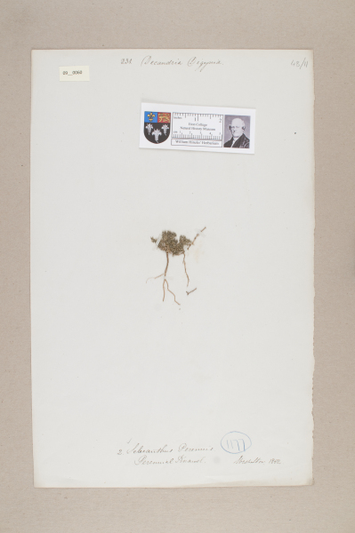 NHM_HH_9.60-2010 image NHM_HH_9.60-2010