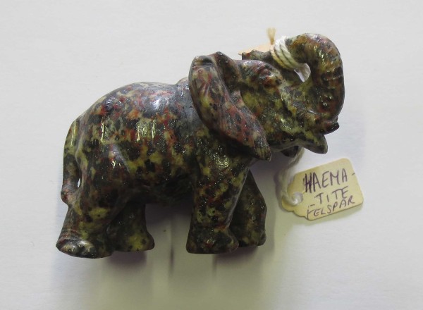 NHM-EE.50-2015 image NHM-EE.50-2015