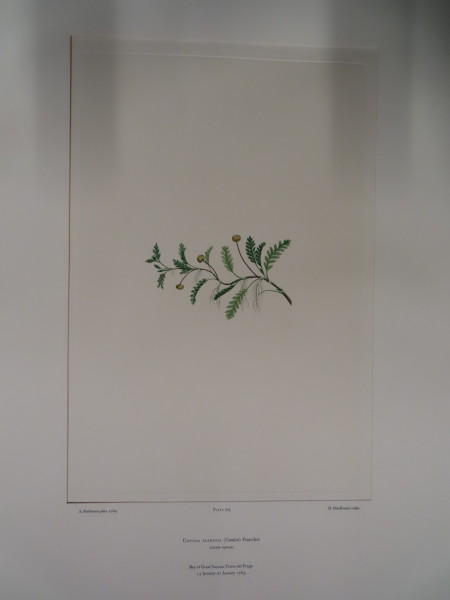 image FDA-E.2916_33_14-2016