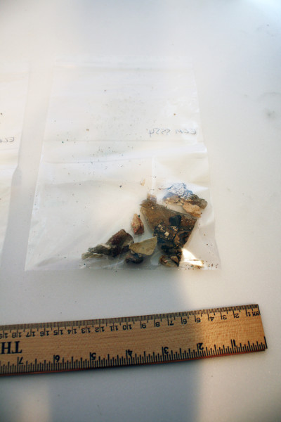 ECM.5554-2017-F image ECM.5554-2017-F