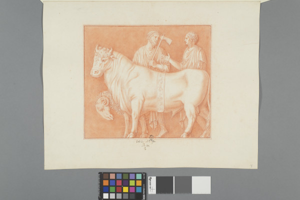 ECL-Bm.2_19-2012 image ECL-Bm.2_19-2012