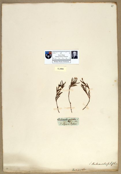 NHM_HH_12.5-2010 image NHM_HH_12.5-2010