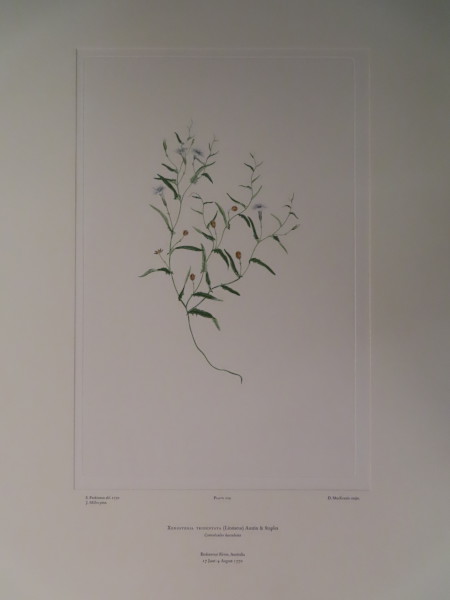 image FDA-E.2916_10_25-2016-A