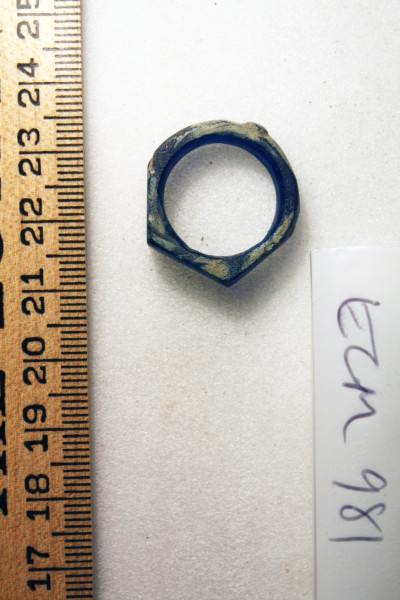 ECM.981-2010-C image ECM.981-2010-C