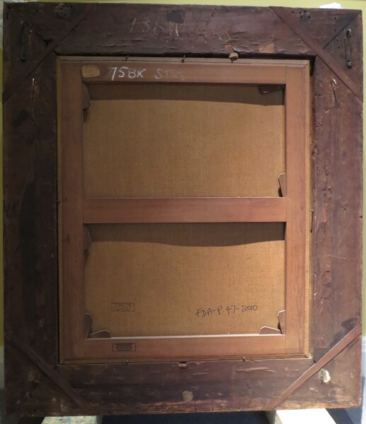 FDA-P.47-2010-A image FDA-P.47-2010-A