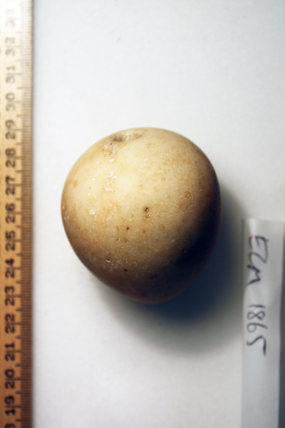 ECM.1865-2010-A image ECM.1865-2010-A