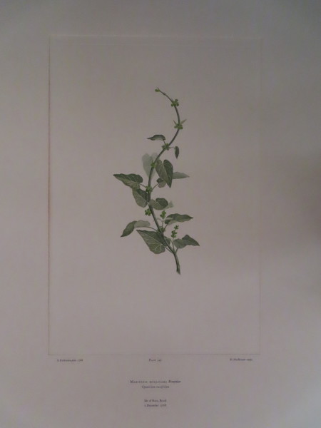 FDA-E.2916_16_15-2016-A image FDA-E.2916_16_15-2016-A