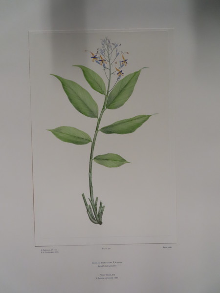 image FDA-E.2916_18_18-2016