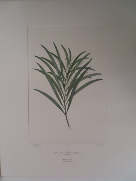 image FDA-E.2916_4_26-2016-A