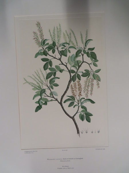 image FDA-E.2916_21_16-2016-A