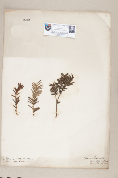 NHM_HH_6.1-2010 image NHM_HH_6.1-2010