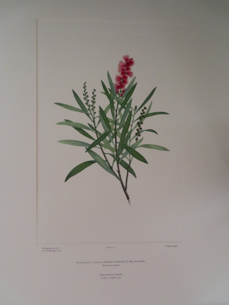 image FDA-E.2916_6_5-2016