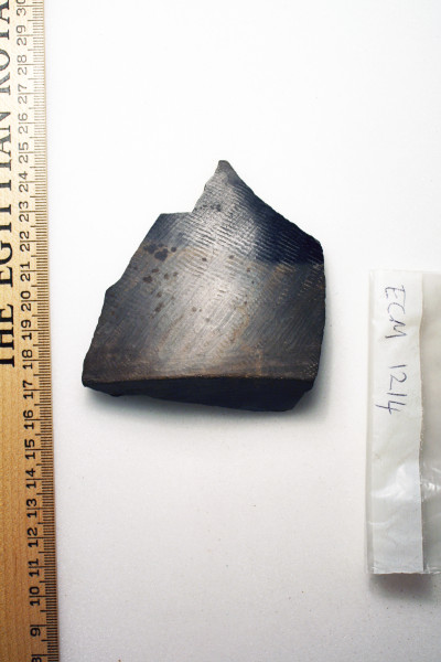 ECM.1214-2010-A image ECM.1214-2010-A