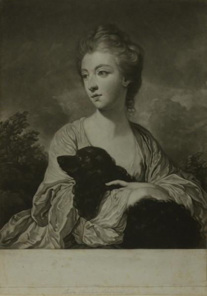 FDA-E.81-2014 image FDA-E.81-2014