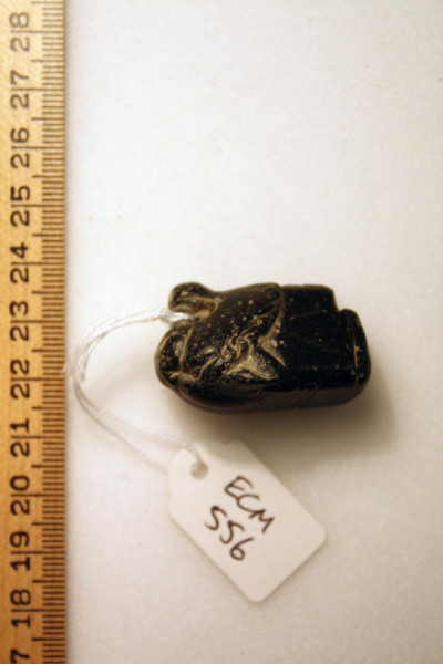 ECM.556-2010-C image ECM.556-2010-C