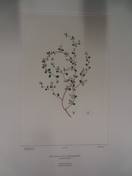 image FDA-E.2916_25_22-2016