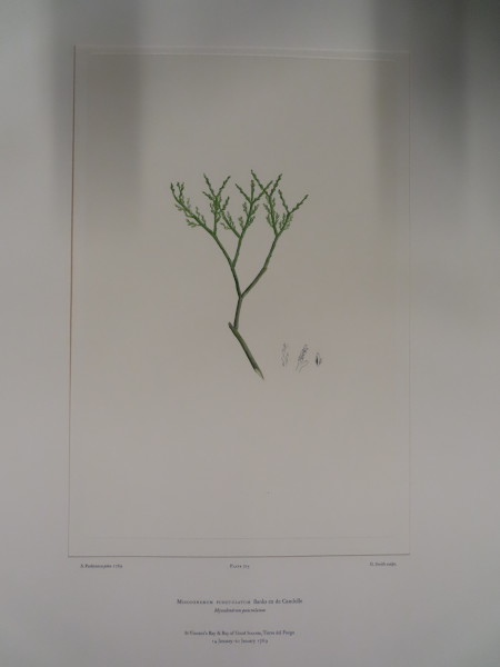 image FDA-E.2916_34_12-2016