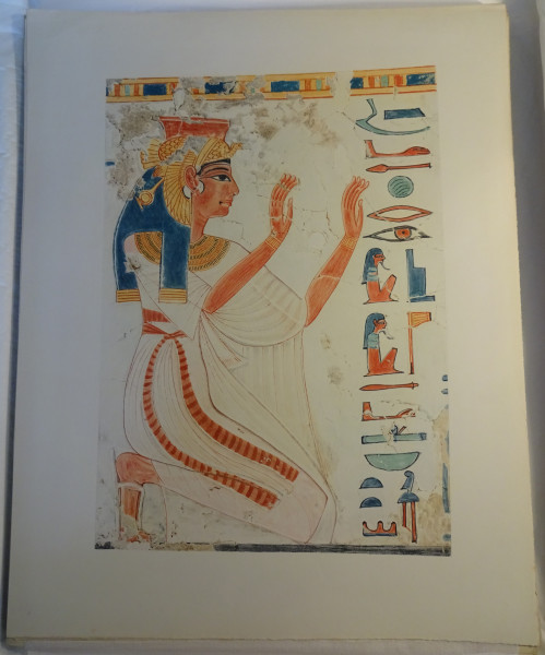 image FDA-E.3055_70-2018