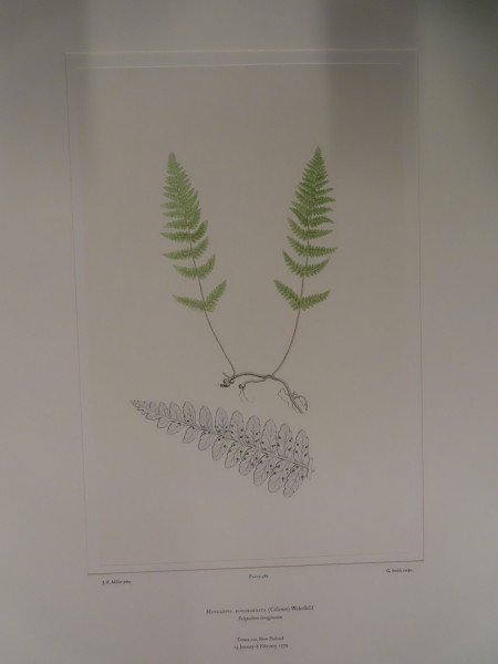 image FDA-E.2916_27_24-2016-A