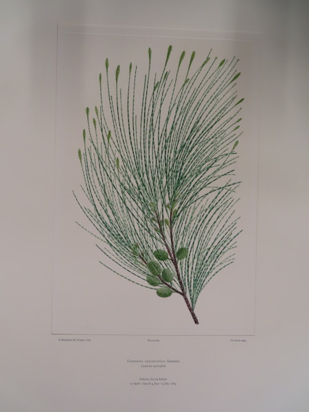 image FDA-E.2916_31_16-2016