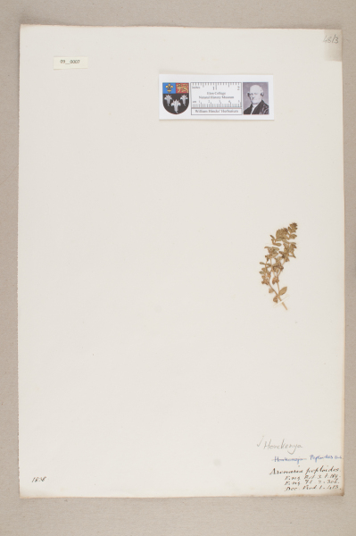 NHM_HH_9.7-2010 image NHM_HH_9.7-2010