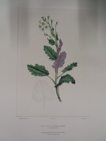 FDA-E.2916_33_19-2016 image FDA-E.2916_33_19-2016