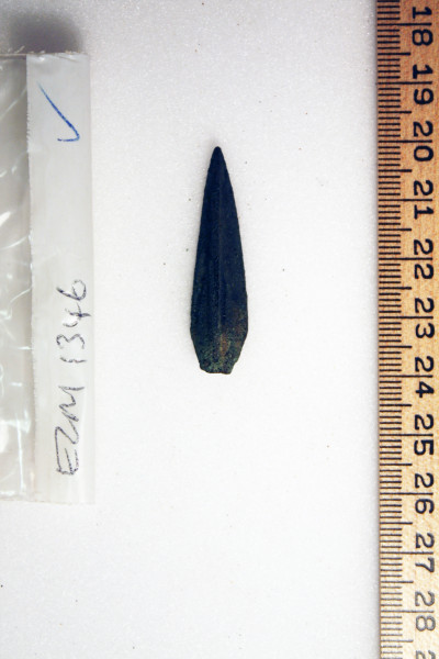 ECM.1346-2010-A image ECM.1346-2010-A