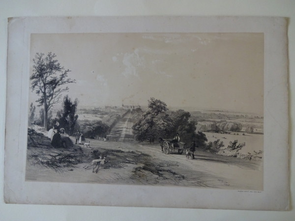 FDA-E.2835_5-2016 image FDA-E.2835_5-2016