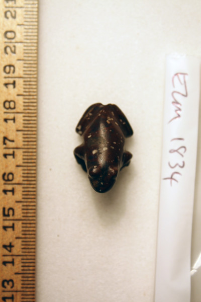 ECM.1834-2010-B image ECM.1834-2010-B