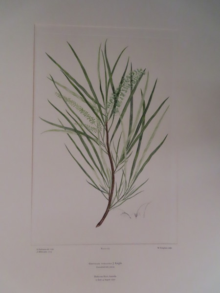 FDA-E.2916_13_12-2016 image FDA-E.2916_13_12-2016