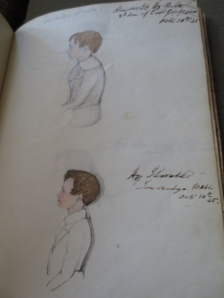 FDA-V.3-2016-ZZY image FDA-V.3-2016-ZZY