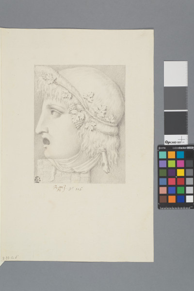 ECL-Bm.12_106-2013 image ECL-Bm.12_106-2013