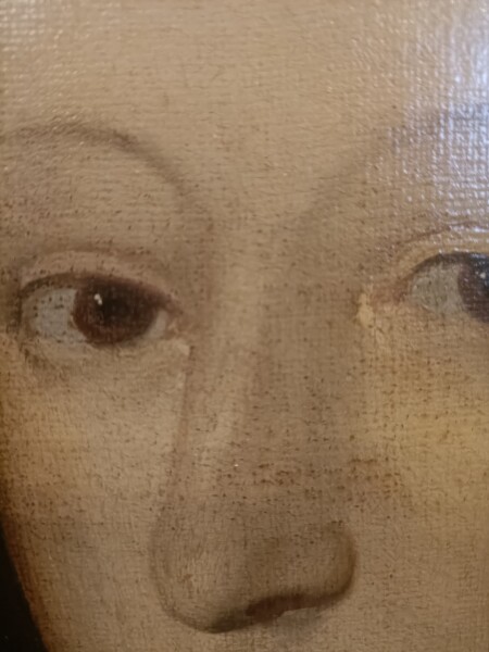 FDA-P.38-2010-H image FDA-P.38-2010-H