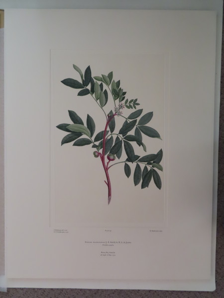 FDA-E.2916_2_20-2016 image FDA-E.2916_2_20-2016