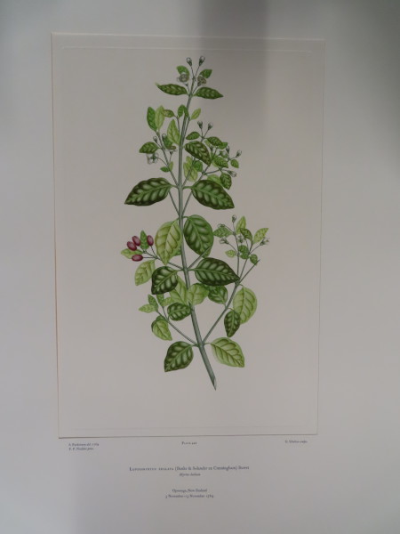 FDA-E.2916_21_20-2016 image FDA-E.2916_21_20-2016