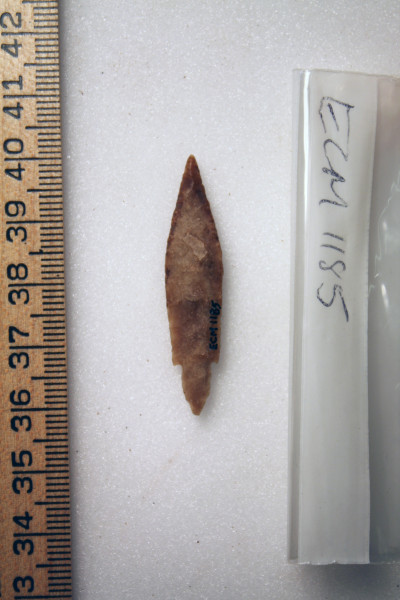 ECM.1185-2010-B image ECM.1185-2010-B