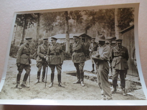 ECL-O.146_20-2014 image ECL-O.146_20-2014