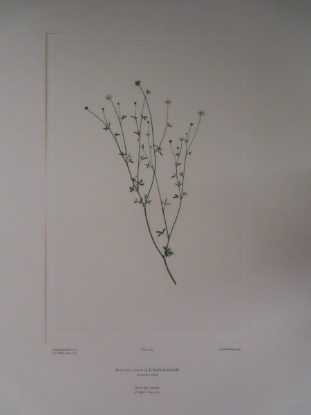 image FDA-E.2916_7_10-2016-A