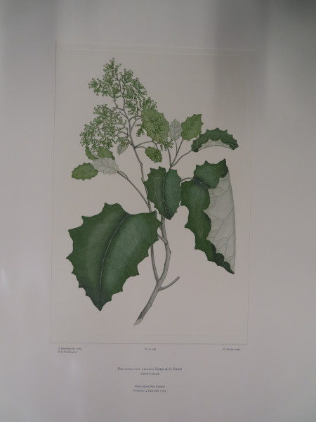 FDA-E.2916_23_21-2016 image FDA-E.2916_23_21-2016