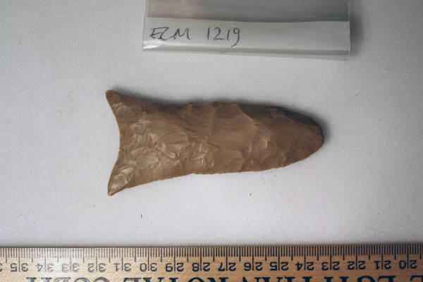 ECM.1219-2010-A image ECM.1219-2010-A