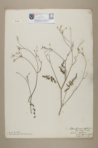 NHM_HH_22.18-2010 image NHM_HH_22.18-2010