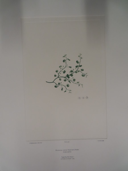 FDA-E.2916_25_4-2016-A image FDA-E.2916_25_4-2016-A