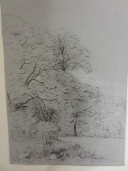 image FDA-D.1412-2015